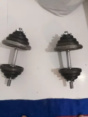 dumbbell used for sale 12 kd 30 kg plates