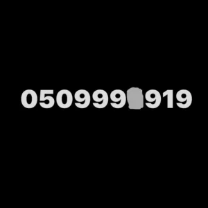 Vip special number 999X919