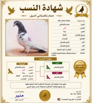 السلام عليكم للبيع حمام كش وإنتاج و فراخ للكش و الفرخ ب 20 درهم فقط وموجود حمام باكستاني مع الشهاده