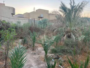 بيت مساحته دونم 2500متر