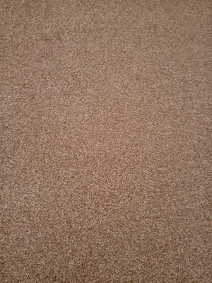 موكيت بحال الجديد