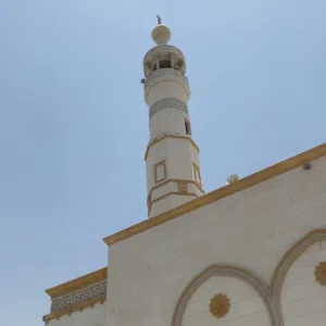 احمد علي المناعي 