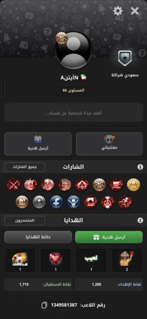 Accounts - Others Accounts and Characters for Sale in Amman