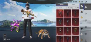 Pubg Accounts and Characters for Sale in Amman