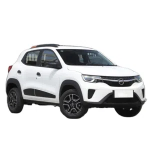 Used Dongfeng Other in Amman