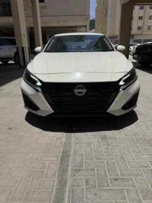 التيما s أوراق جمارك 2023 نظيف جدا