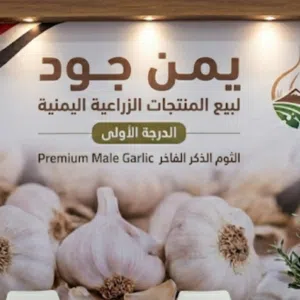 يمن جود 