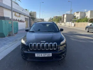 جيب بزون 2017