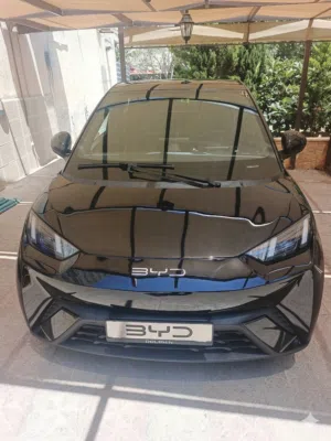 Used BYD Seagull in Amman