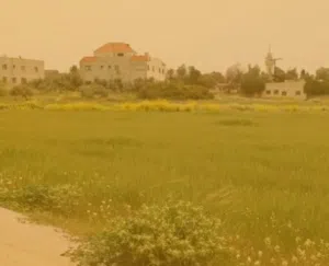 Residential Land for Sale in Amman Naour