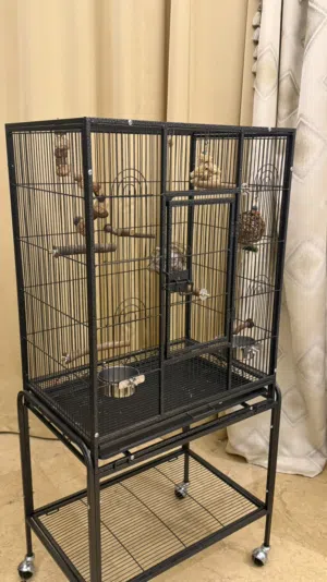 big Parrot cage with all accessories and food bowl