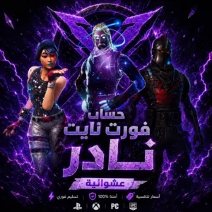 Fortnite Accounts and Characters for Sale in Dubai