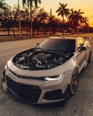 ضياء 