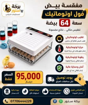 فقساية 64 بيضة