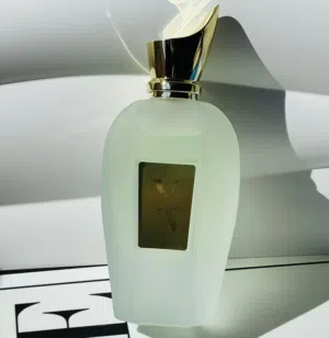 عطر xerjov كوبي ماستر  100ملي