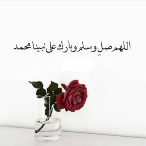 حمزه حمزه