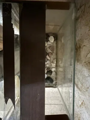 حوض سمك اقرأ الوصف