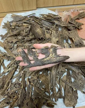 شريحة عود فيتنامي اصلي