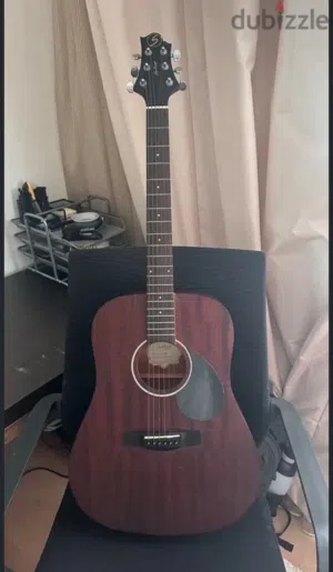 Greg bennett D-1 guitar