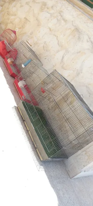 ‏إكسسوارات ‏.‏ طيور ودواجن‏4