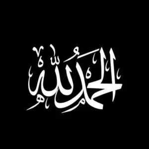 abo omer Abdelaziz