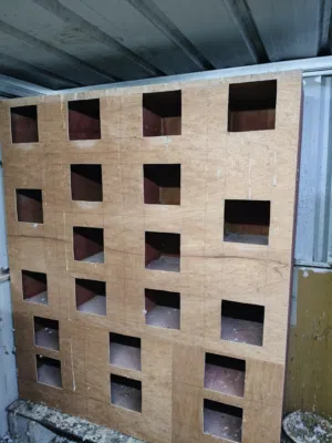 للبيع صندوق لطيور