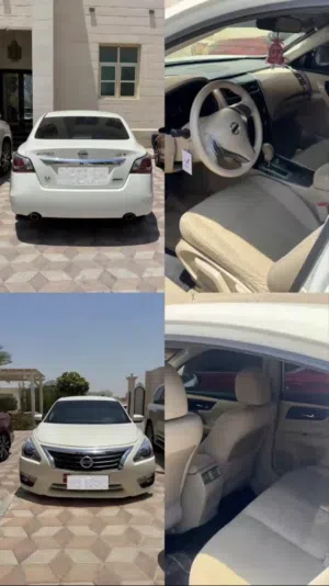 التيما للبيع