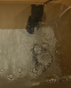 للبيع فلتر حوض اسماك مستخدم / used aquarium filter for sale