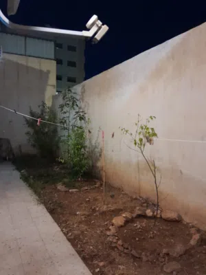 شقة شبه ارضي مميزة للبيع