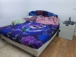 Family coat bed and spring fit mattress 210*210