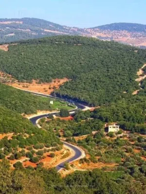 1-bedroom-farms-for-sale-in-ajloun-a-fna