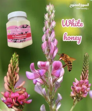 عسل الإسبارسيت الكريمي الأبيض – قوة طبيعية ومذاق رائع! 100% أصلية