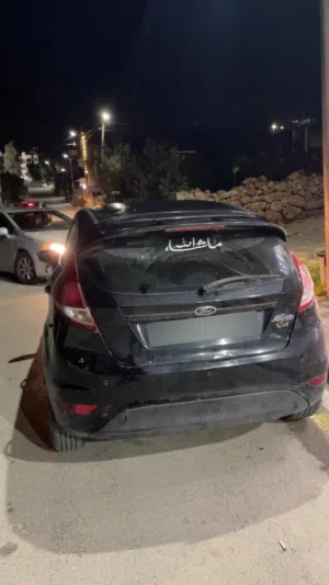 فورد فيستا 2014