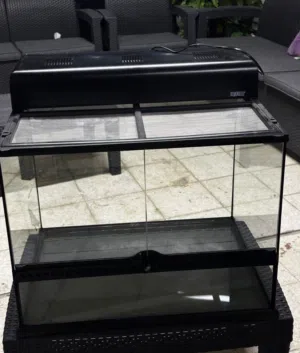 Medium size Terrarium with light hood
