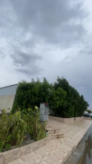 350 m2 3 Bedrooms Townhouse for Sale in Muscat Al Maabilah