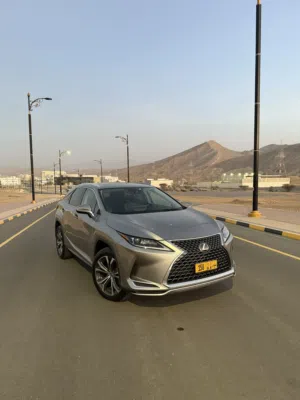Used Lexus RX in Muscat