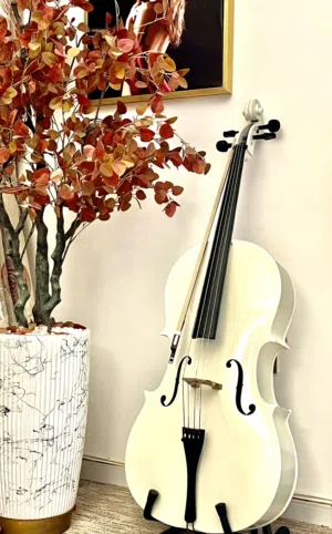 Beautiful white cello