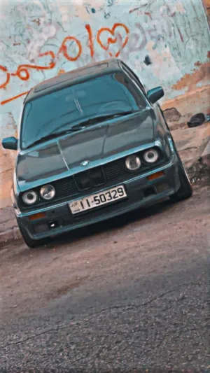 BM بوز نمر للبيع