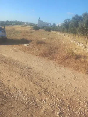 ارض زراعيه سكنيه للبيع