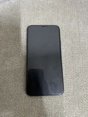 Apple iPhone 11 Pro Max 64 GB in Muscat