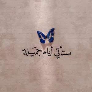MAJID ALMAMARI 