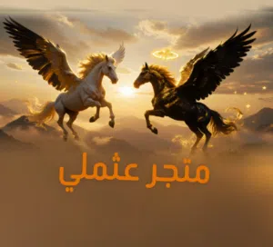 حسابات الفن للبرامج.، snad.s799k