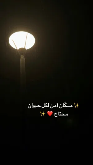 أتبنى صديقاً جديداً ( اقرأ الوصف )