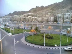 محمدعلي محمدبامحيسون 