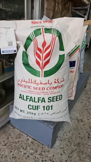 بذور البرسيم للبيع