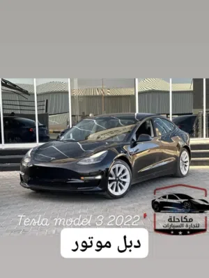 Tesla model 3 2022