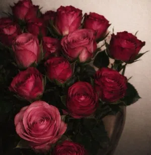 Walaa Almdour 