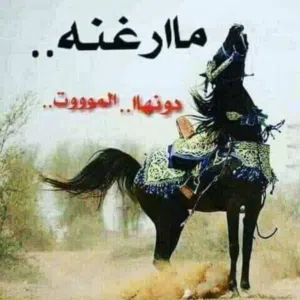 فيصل المرغني 