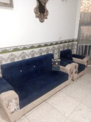 تخم قنفات 5 قطع