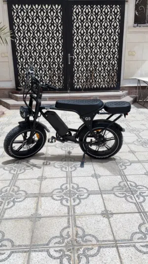 دراجة كهربائية  Rine G5  اخت الجديدة
